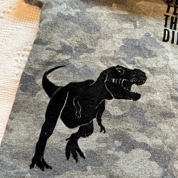 Epic Threads | EUC Don’t Feed The Dino T-shirt with velvety design. - Picture 4 of 4